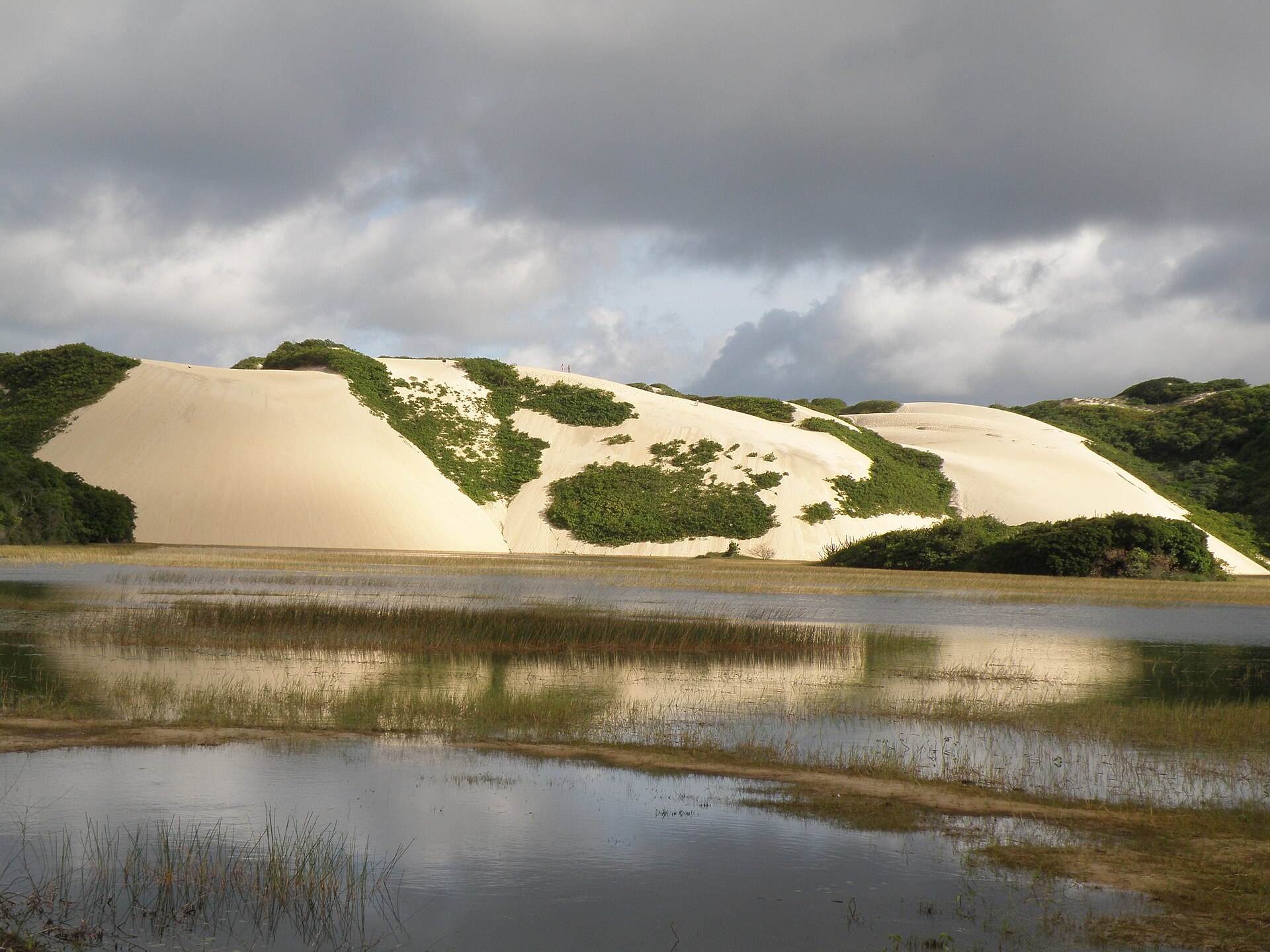 Praia de Genipabu